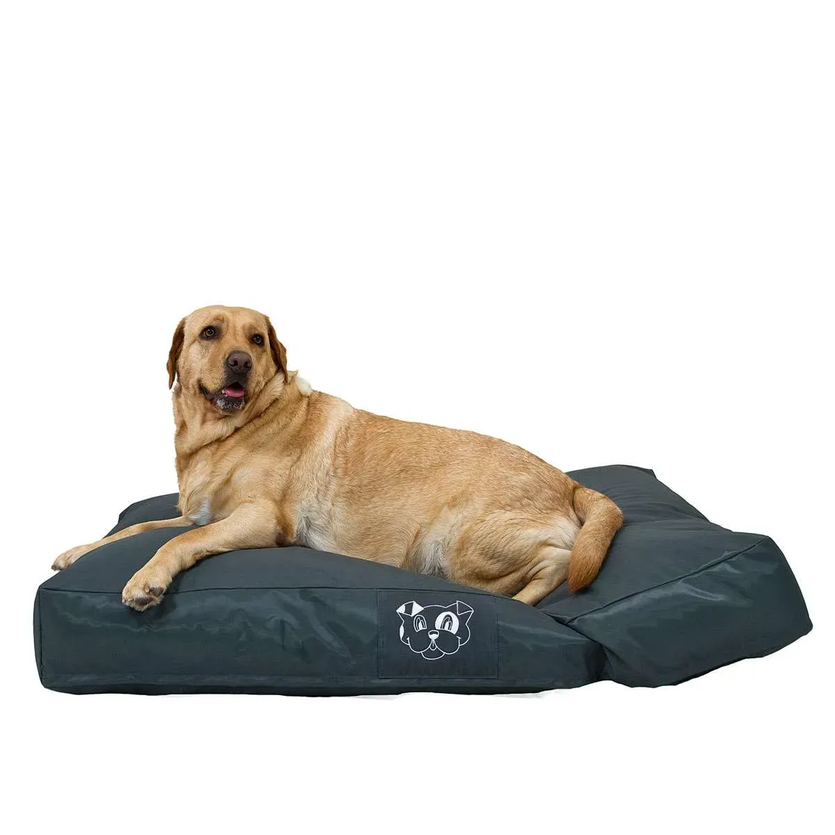 Cuscino BAU 120 - immagine 3